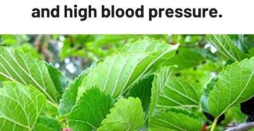 649538623 122178428708791252 3672751324008093884 n