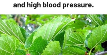 649538623 122178428708791252 3672751324008093884 n