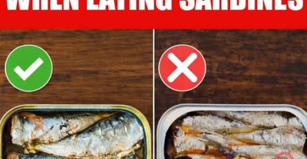 649553840 1862797254439898 3947875012574825678 n