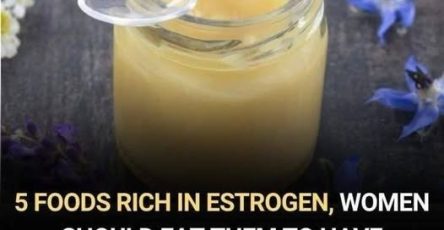 649602109 1293625419313446 8231058199474383617 n