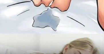 649823430 2400972726999648 2345926609391669962 n