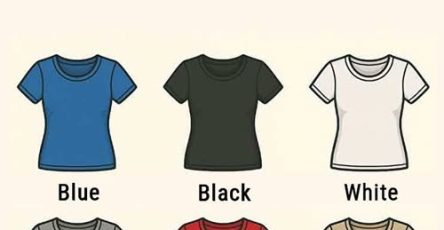 649823697 4417980798486163 1655748175407845759 n