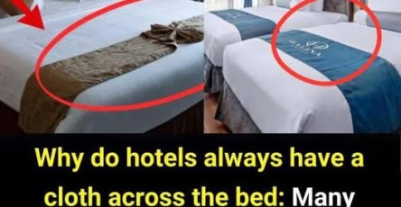 649843163 122253976418181557 4439514946117646399 n