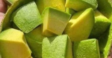 650115514 1222794336692564 1927277303273094863 n