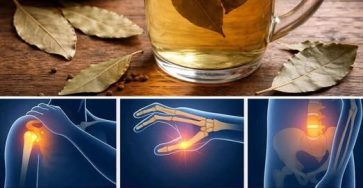 650180292 122245757624253247 5287430622668083309 n