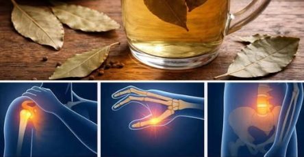 650180292 122245757624253247 5287430622668083309 n