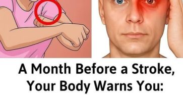 650227282 2493282827791947 2138006370128606399 n