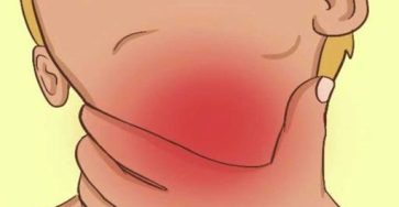 650305700 1573733263701369 4394146318251666519 n