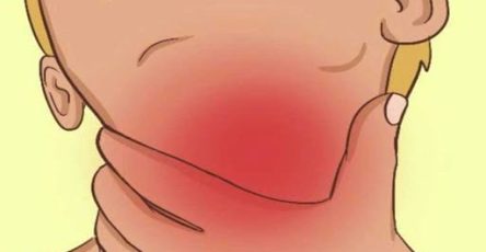 650305700 1573733263701369 4394146318251666519 n