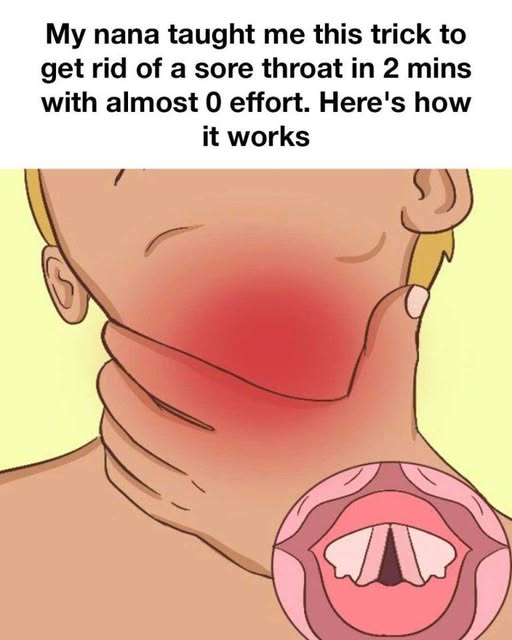 650305700 1573733263701369 4394146318251666519 n