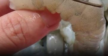 650392356 122095952955019387 4376385347884159357 n