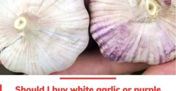 650678910 1293648989311089 8859507527344946055 n