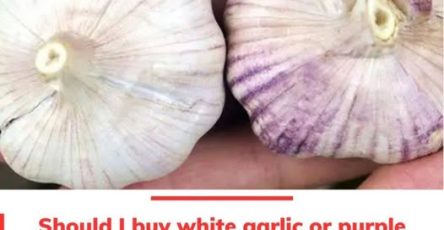 650678910 1293648989311089 8859507527344946055 n