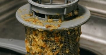 650763259 122095940103019387 3853355314023348500 n