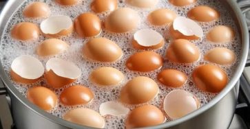 650830856 1486972756352691 8087504073668260385 n