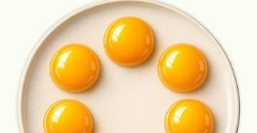 651002728 831365253305777 2692434360316707763 n