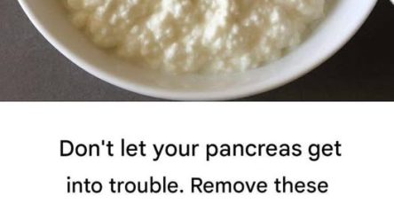 651009057 2136858783830488 5728467424307276033 n