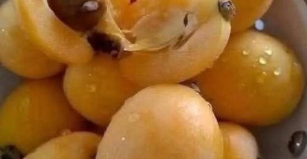 651192891 122204591060501456 4862740744586767728 n