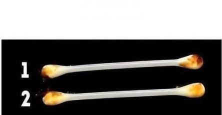 651252199 122103163359214495 8516532869369136833 n