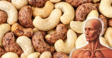 651277279 1710066107034333 7407905795589847178 n