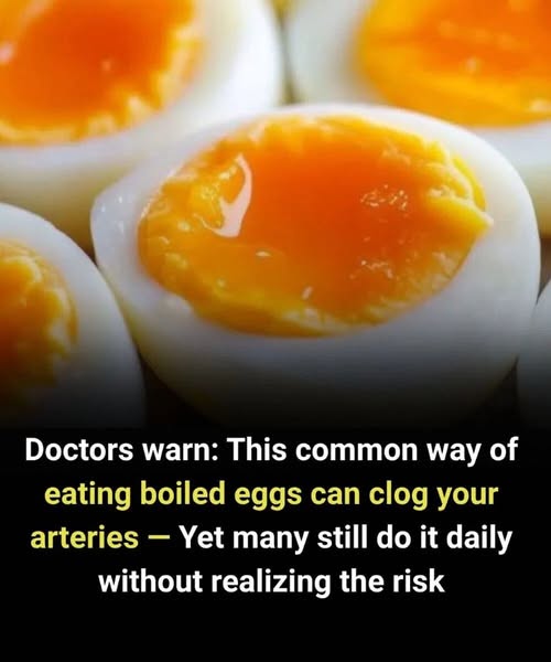 651327330 1932727344049035 3364367925454326272 n