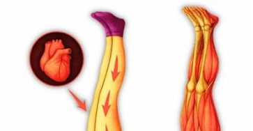 651375700 2493948394392057 8774304274718065612 n