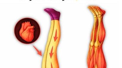 651375700 2493948394392057 8774304274718065612 n