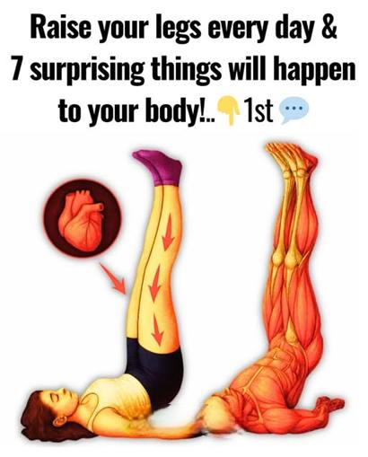 651375700 2493948394392057 8774304274718065612 n