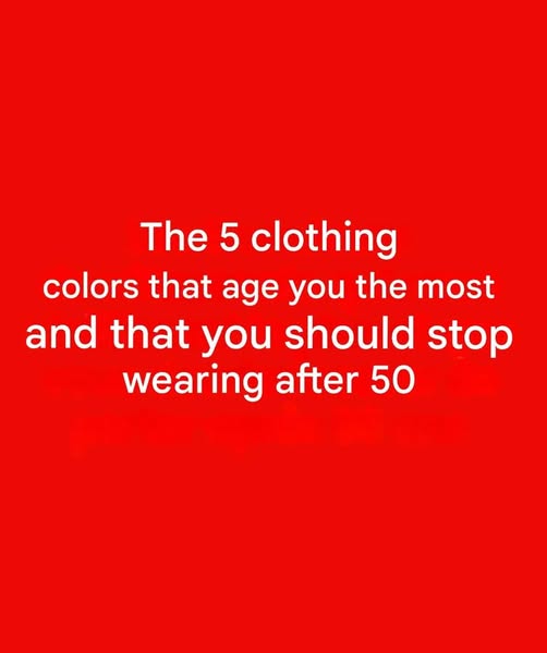 651606956 1282757337034825 9155473186036351149 n