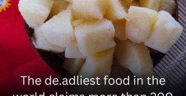 651694520 122095211270982906 3406896838242856176 n