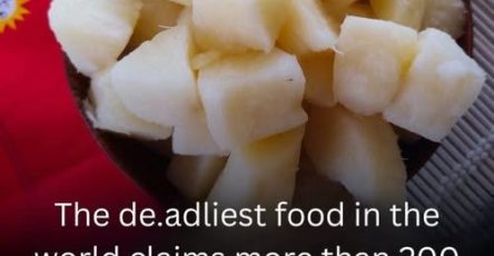 651694520 122095211270982906 3406896838242856176 n