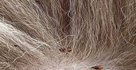 651792190 122105017845288464 7357559806775735368 n