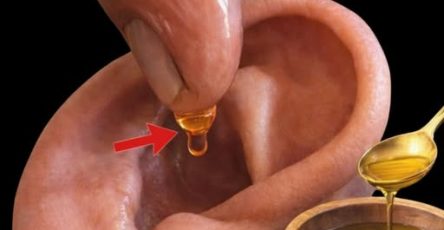 651805286 1457415689119238 338454152491545181 n