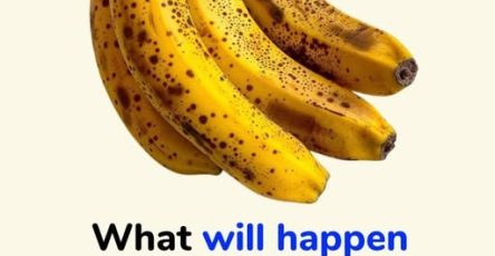 651842771 1971644413727240 3579150603163259123 n