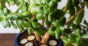 651898386 122095209080982906 6793206167685584030 n