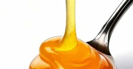 651899281 2385748941903640 1095382846409346731 n