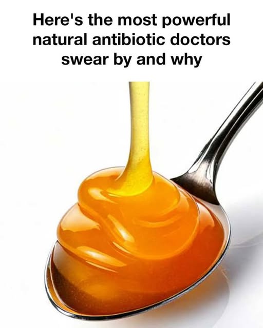 651899281 2385748941903640 1095382846409346731 n