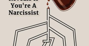 651904326 1976397682914763 7077997811663228190 n