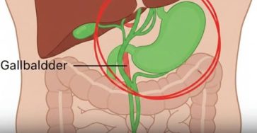 651907395 1241223944790620 6488718053611270581 n