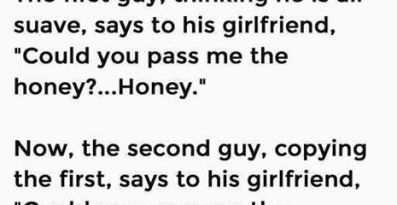 651907395 908414631906001 8402636621583864542 n