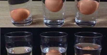 651911717 122095196264982906 1443904945546844726 n