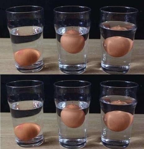 651911717 122095196264982906 1443904945546844726 n