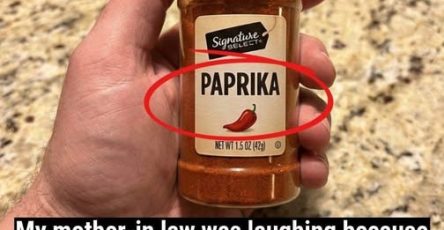 652172172 1863671147685842 7076552046554796685 n