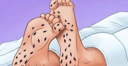 652176626 1241229794790035 3714468024785993606 n