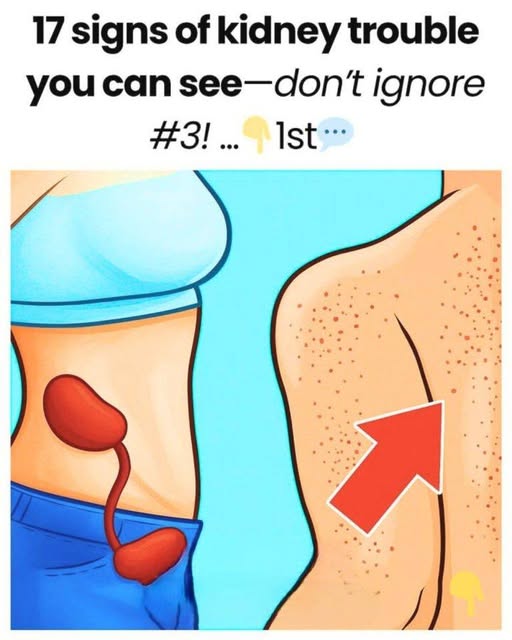 652238400 122210021876335205 6891340322587739337 n