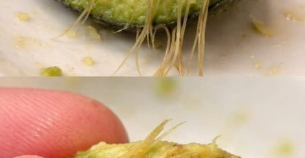 652664612 2214185142703328 4175749463961510516 n