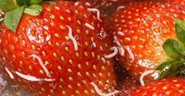 652670566 122277564116086062 4889279241236713439 n