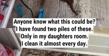 652905955 122207461898746178 343861980910095908 n