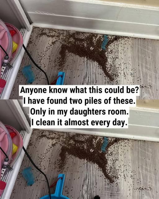 652905955 122207461898746178 343861980910095908 n