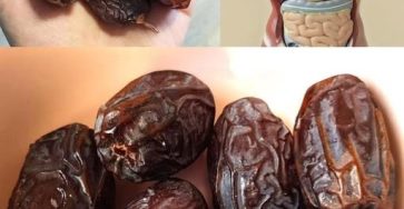 653022541 2250247708838772 449912725238243943 n